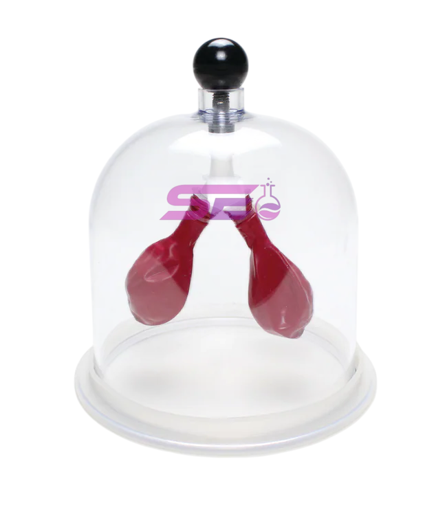 Lung Apparatus